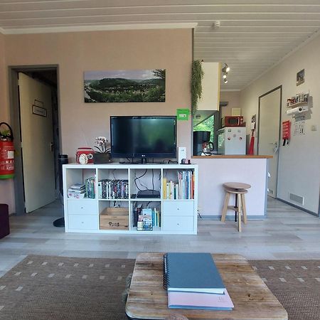 Le Petit Chalet - Bungalow Waulsort Eksteriør billede